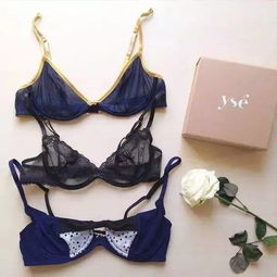 單品推薦 這幾個顏值逆天的內衣品牌，你都穿過嗎？